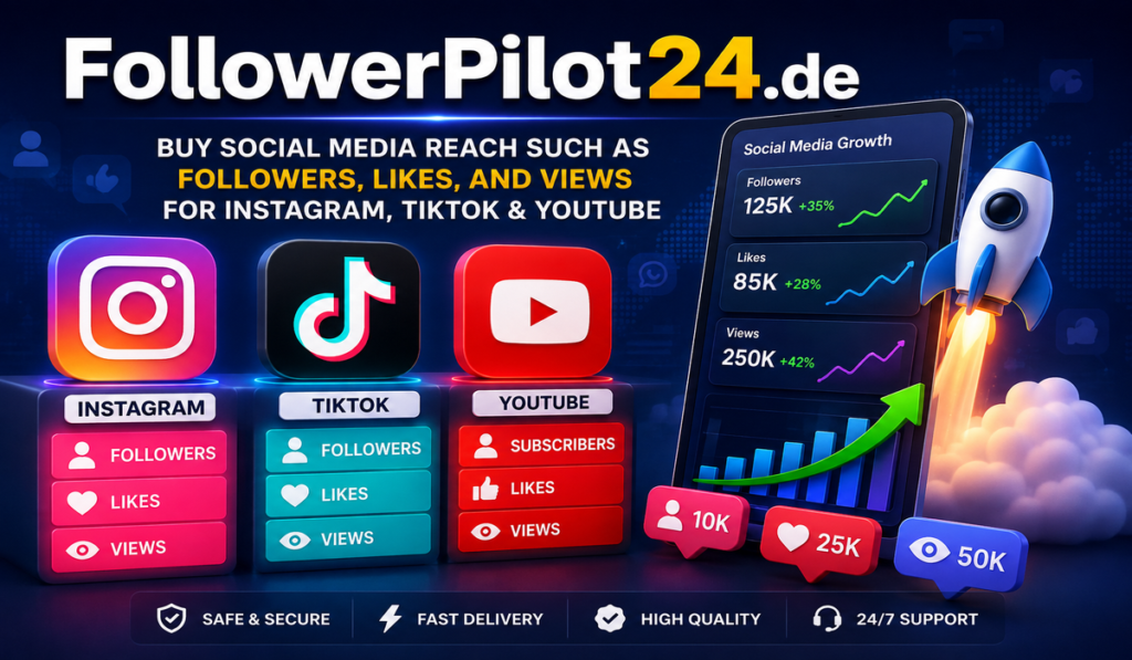 FollowerPilot24.de